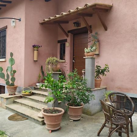 Casa Nupa Apartment Torri in Sabina Ngoại thất bức ảnh